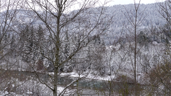 P1140848.JPG