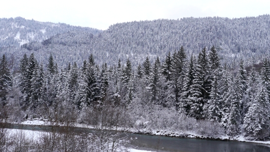P1140849.JPG