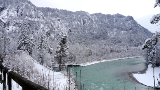 P1140854.JPG