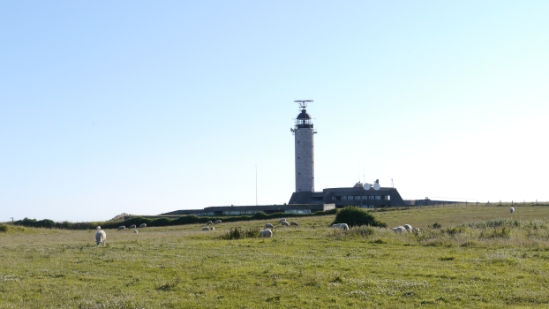 P1170274.JPG