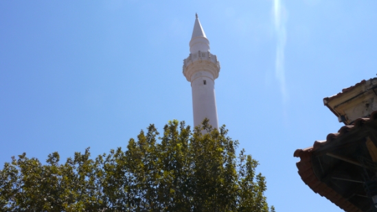 P1190139.JPG