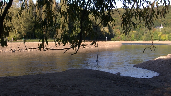 P1200854.jpg