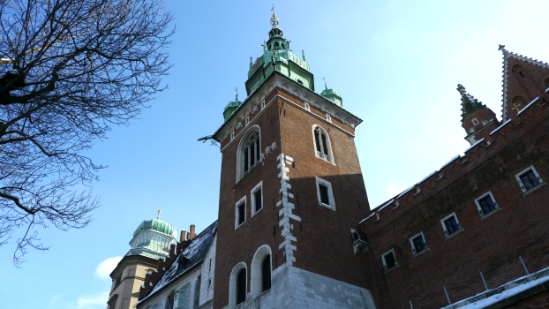 P1210078.JPG