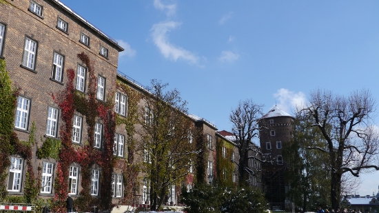 P1210146.JPG