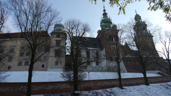 P1210185.JPG