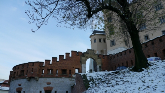 P1210186.JPG
