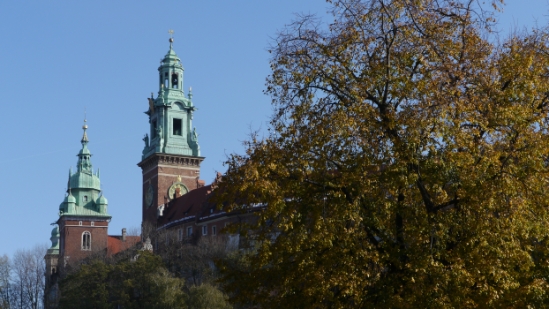 P1210404.JPG