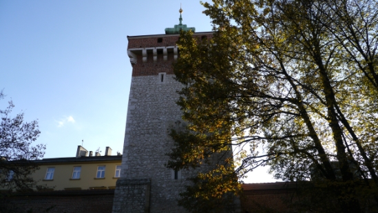 P1210505.JPG