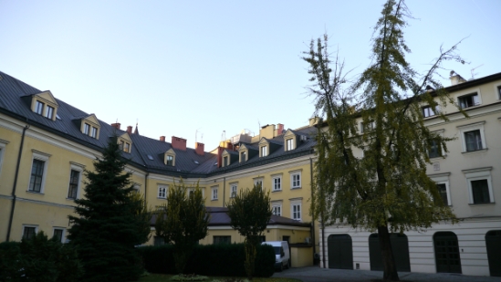 P1210558.JPG