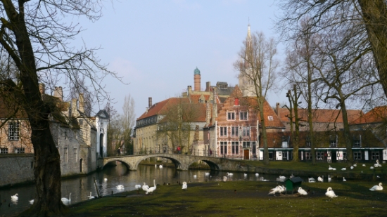 P1220173.JPG
