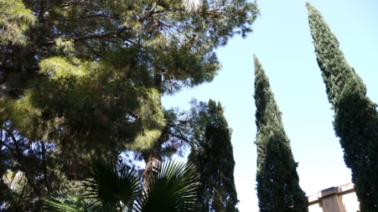 P1230471.JPG