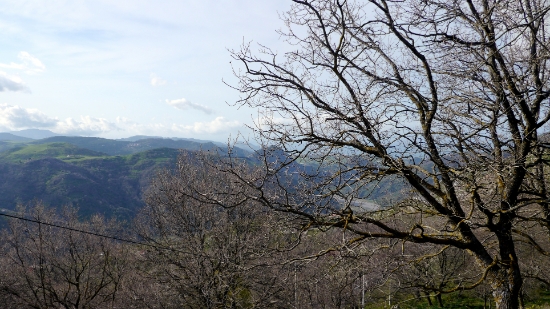 P1240271.JPG