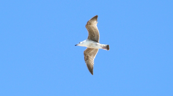 P1240567.JPG