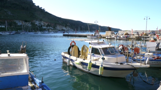 P1250054.JPG