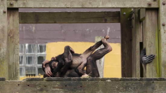 P1270724.JPG