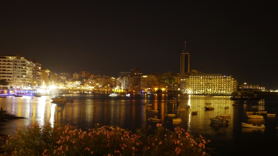 P1310817.JPG