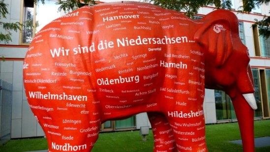 P1330555.jpg