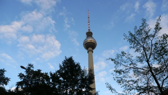 P1340058.jpg