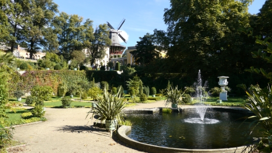 P1340201.jpg