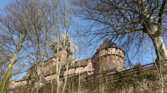 P1350090.jpg