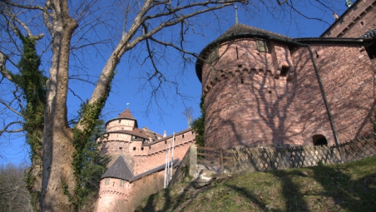 P1350105.jpg
