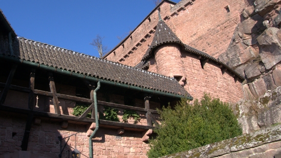 P1350123.jpg