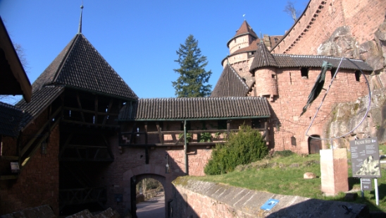 P1350125.jpg