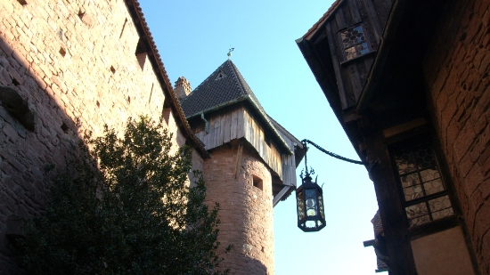 P1350128.jpg