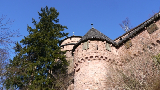 P1350145.jpg