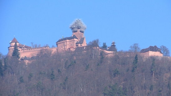 P1350152.jpg