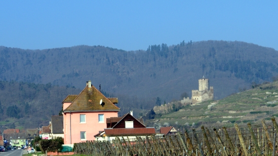 P1350155.jpg