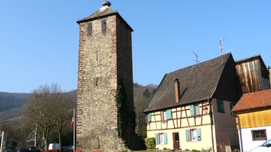 P1350156.jpg