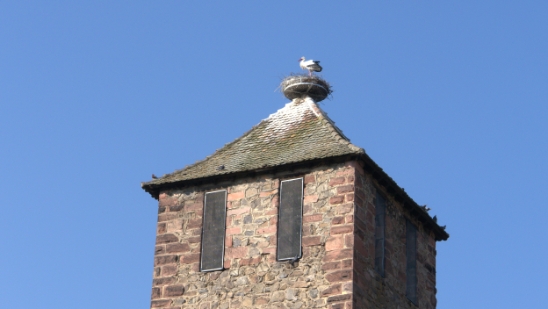 P1350164.jpg