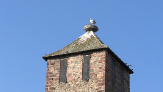 P1350165.jpg