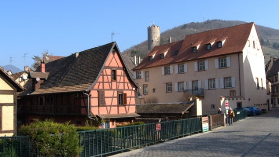 P1350168.jpg