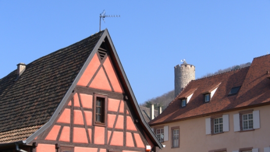 P1350171.jpg
