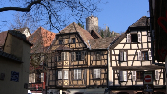 P1350176.jpg