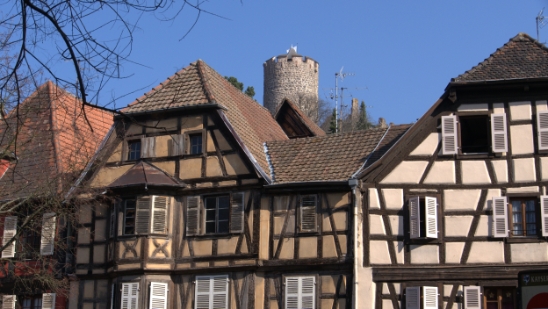 P1350177.jpg
