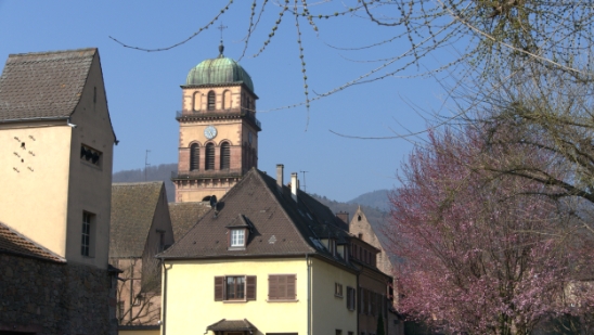 P1350199.jpg