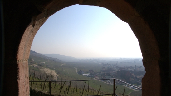 P1350221.jpg