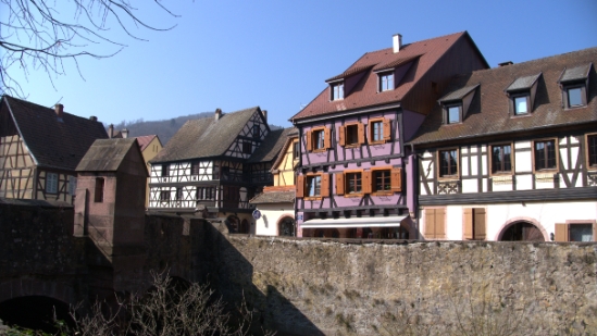 P1350254.jpg
