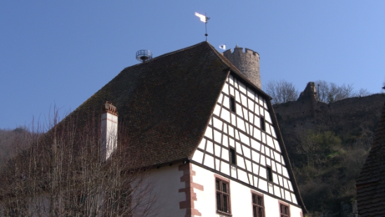 P1350257.jpg