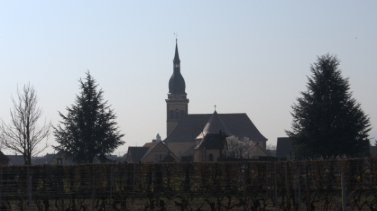 P1350275.jpg