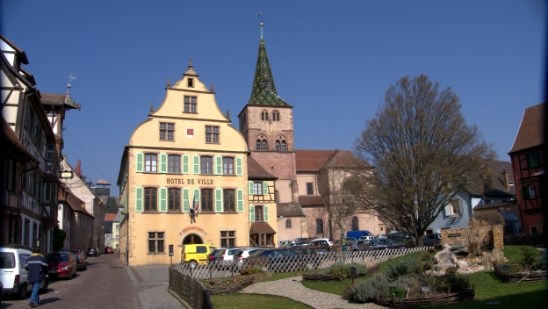 P1350299.jpg