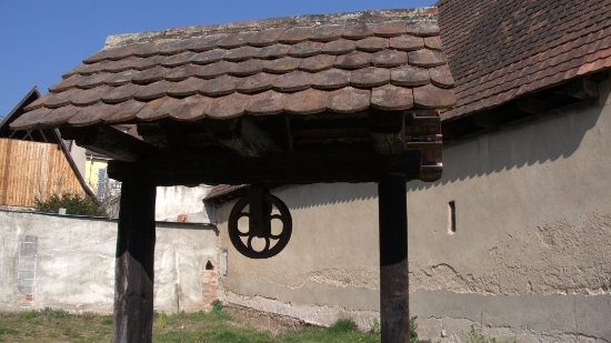 P1350315.jpg