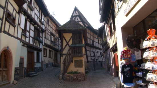 P1350338.jpg