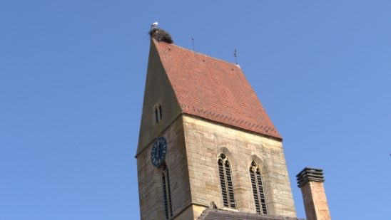 P1350347.jpg