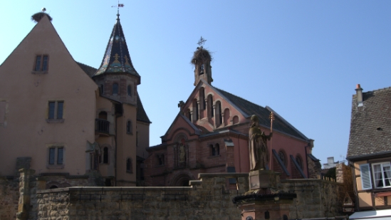P1350390.jpg