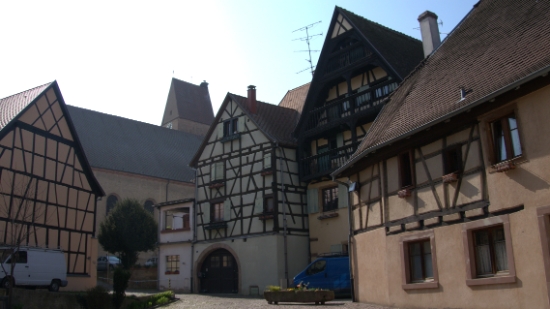 P1350406.jpg