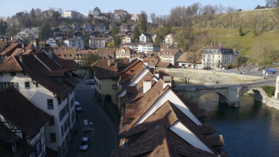 P1350442.jpg